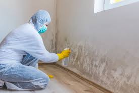 Best Environmental Consulting for Mold Prevention  in Uniontown, OH